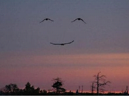 smileinthesky