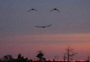 smileinthesky