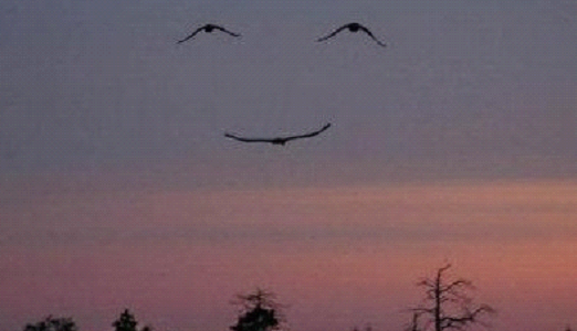 smileinthesky